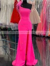 Sheath/Column One Shoulder Stretch Crepe Sweep Train Prom Dresses With Feathers / Fur #Favs020116002