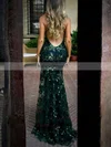Trumpet/Mermaid V-neck Lace Tulle Sweep Train Sequins Prom Dresses #Favs020107833