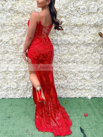 Sheath/Column V-neck Lace Floor-length Prom Dresses With Feathers / Fur #Favs020112535